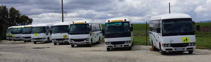 Berwick Fuso Rosas 38, 50, 35, 28, 41, 48 and Toyota Coaster 47